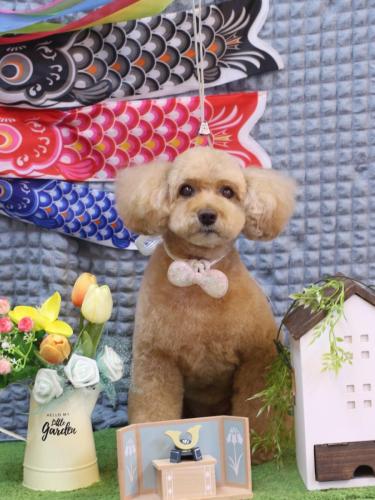 20230525モンチちゃん